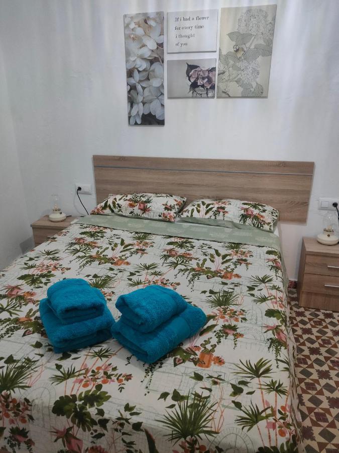 Estudio Alicia Rota Dış mekan fotoğraf
